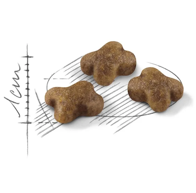 Сухий корм Royal Canin Kitten для кошенят від 4 до 12 місяців, 10 кг