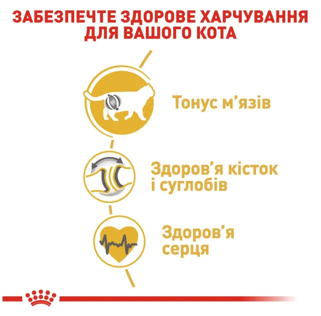 Сухий корм Royal Canin British Shorthair Adult для британських короткошерстих кішок, 10 кг