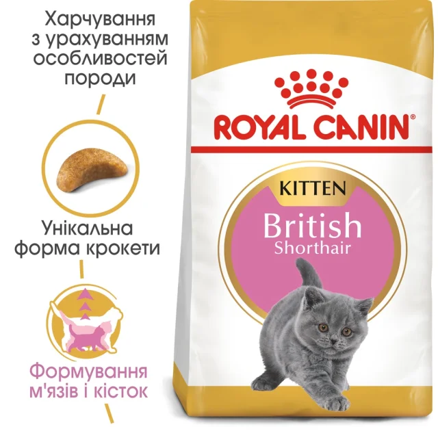 Сухий корм Royal Canin British Shorthair Kitten для британських кошенят, 400 г