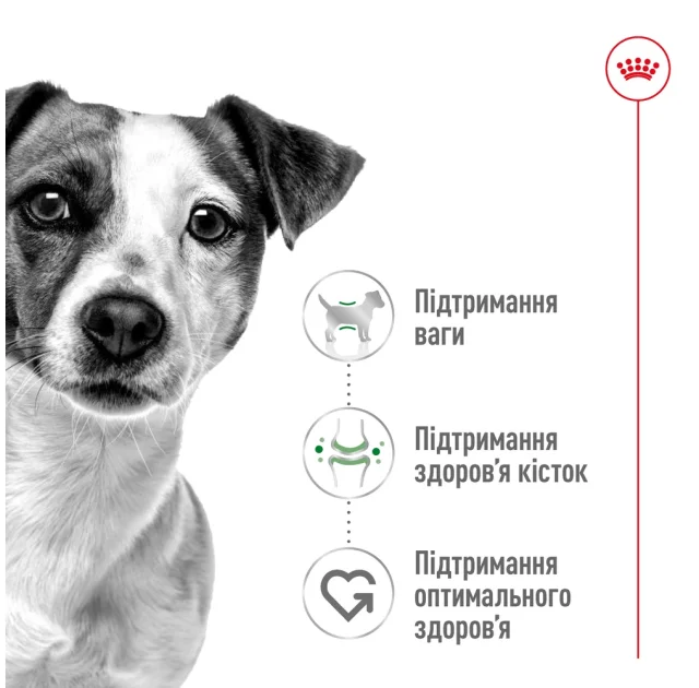 Сухий корм Royal Canin Mini Adult для собак дрібних порід, 4 кг