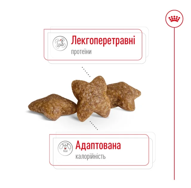 Сухий корм Royal Canin Mini Adult для собак дрібних порід, 4 кг