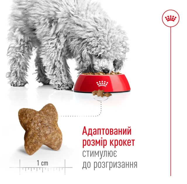 Сухий корм Royal Canin Mini Adult для собак дрібних порід, 4 кг