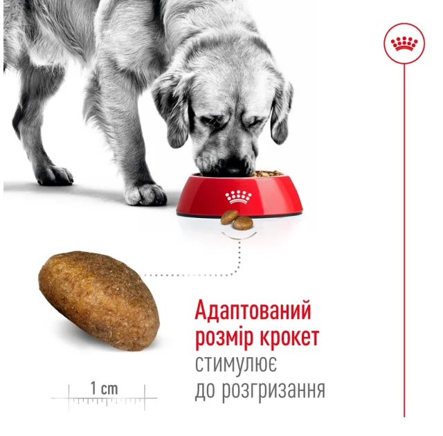 Сухий корм Royal Canin Maxi Adult для собак великих порід, 15 кг