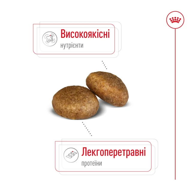 Сухий корм Royal Canin Maxi Adult для собак великих порід, 15 кг