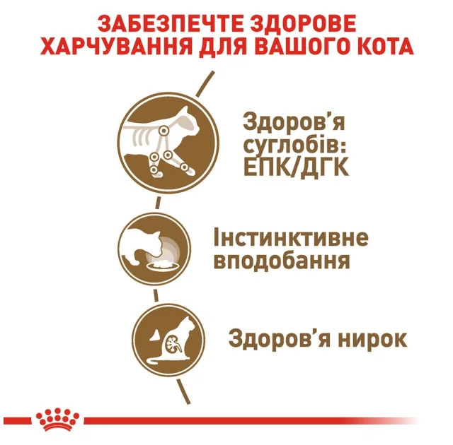 Вологий корм Royal Canin Ageing 12+ для кішок старше 12 років, шматочки в соусі, 85 г