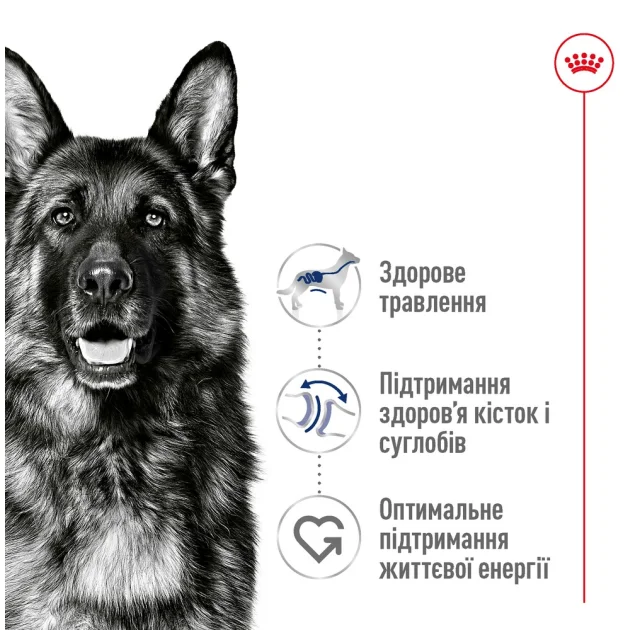 Сухий корм Royal Canin Maxi Adult 5+ для собак великих порід старше 5 років, 15 кг