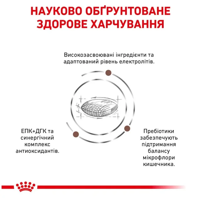 Сухий корм Royal Canin Gastro Intestinal Low Fat при порушеннях травлення у собак, 12 кг