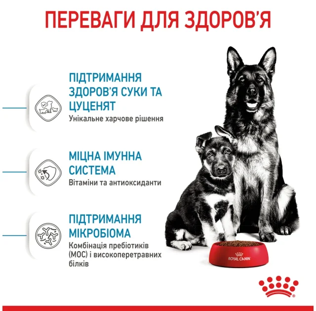 Сухий корм Royal Canin Maxi Starter для годуючих собак великих порід, 4 кг