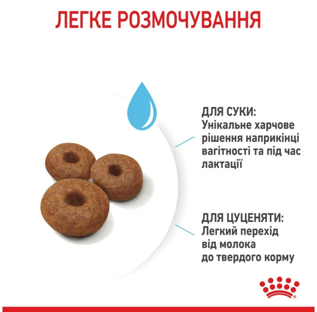 Сухий корм Royal Canin Maxi Starter для годуючих собак великих порід, 4 кг
