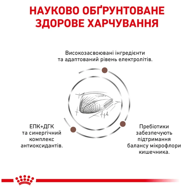 Сухий корм Royal Canin Gastro Intestinal при порушеннях травлення у кішок, 2 кг