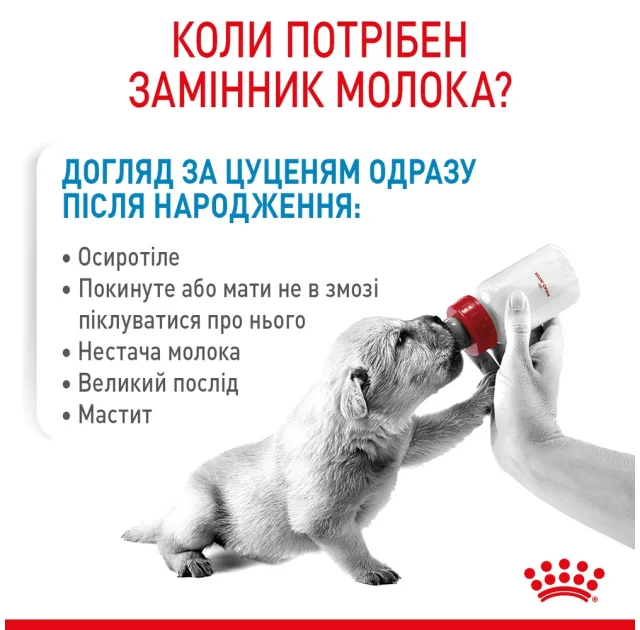 Замінник молока Royal Canin Babydog Milk для цуценят, 2 кг