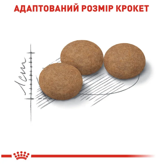 Сухий корм Royal Canin Sterilised Ageing 12+ для стерилізованих кішок від 12 років, 2 кг