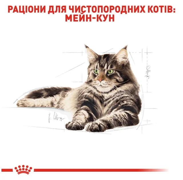 Сухий корм Royal Canin Maine Coon Adult для мейн-кунів, 10 кг