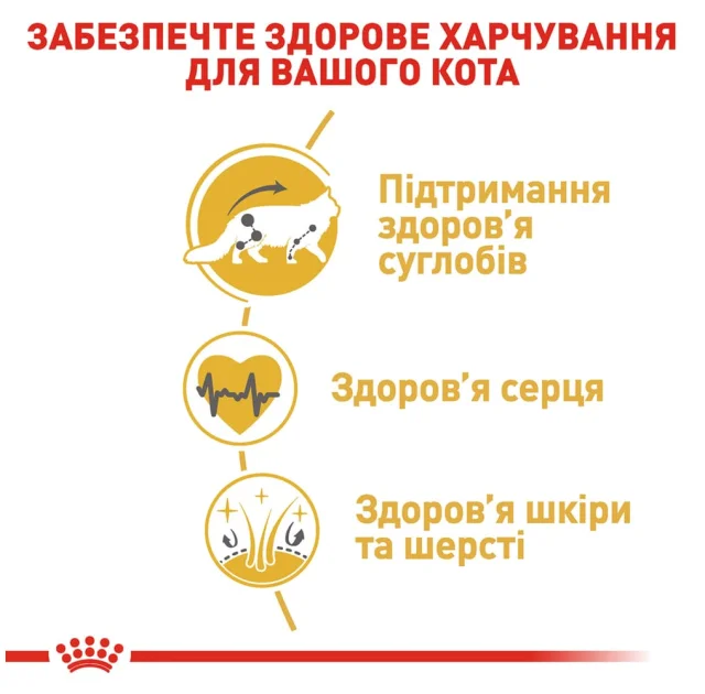 Сухий корм Royal Canin Maine Coon Adult для мейн-кунів, 10 кг
