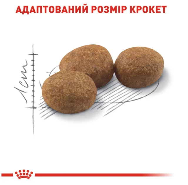 Сухий корм Royal Canin Sterilised 37 для стерилізованих кішок, 10 кг