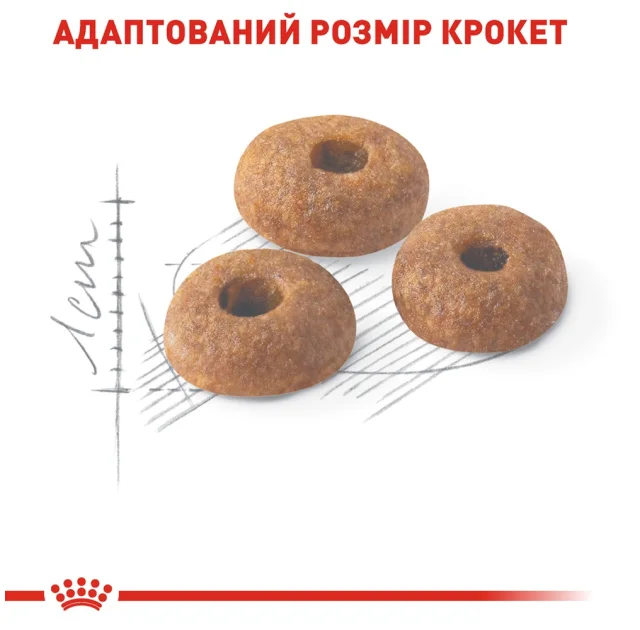 Сухий корм Royal Canin Fit 32 для кішок, 2 кг