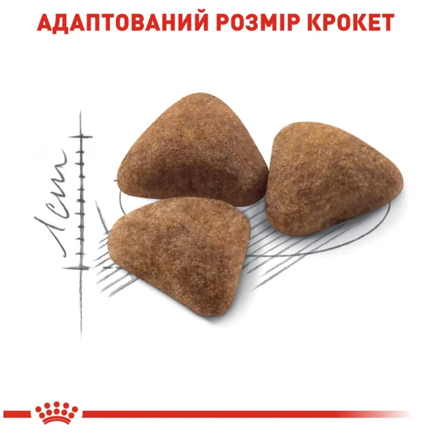 Сухий корм Royal Canin Indoor 27 для кішок, що постійно живуть у приміщенні, 400 г