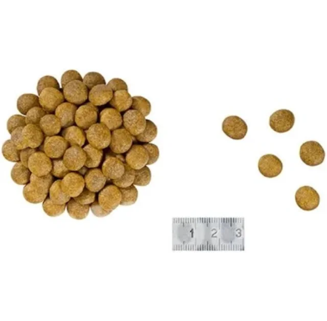 Сухий корм Royal Canin Renal Select при хронічною нирковою недостатністю у кішок, 2 кг