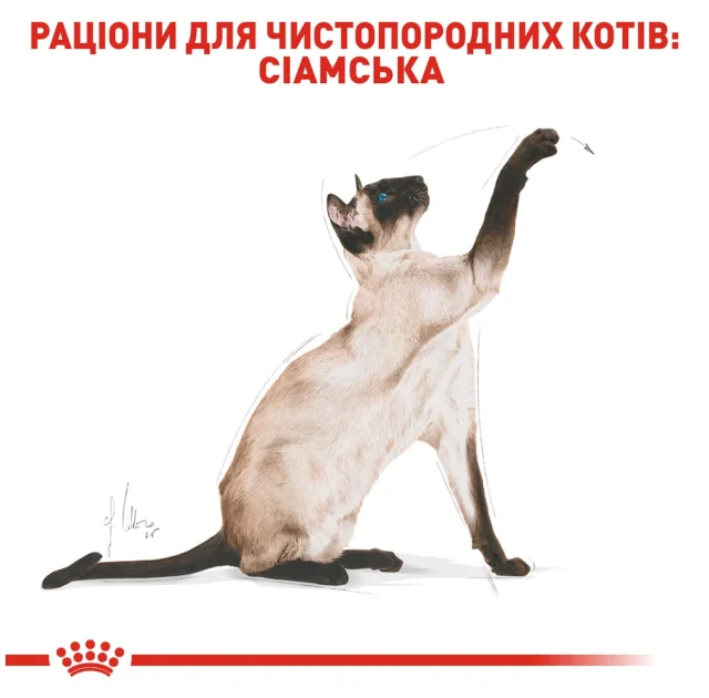 Сухий корм Royal Canin Siamese Adult для сіамської кішки, 400 г