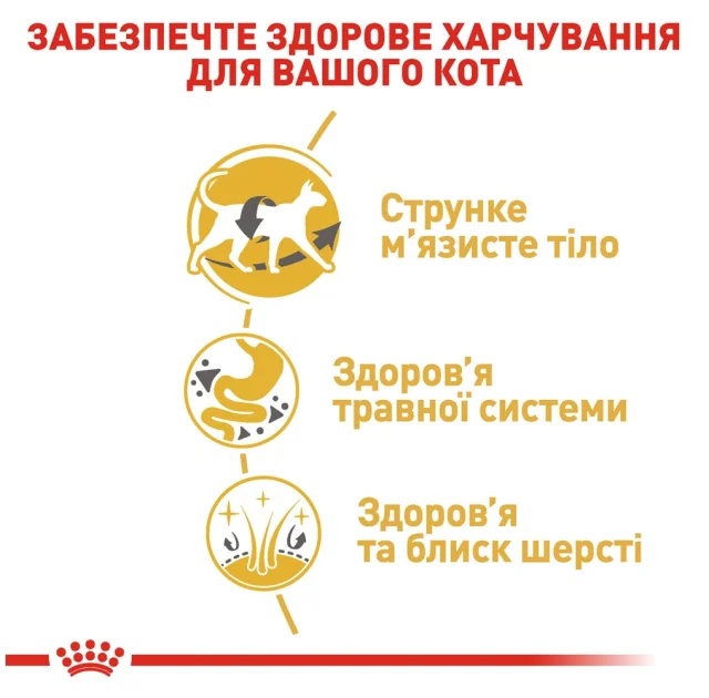 Сухий корм Royal Canin Siamese Adult для сіамської кішки, 400 г