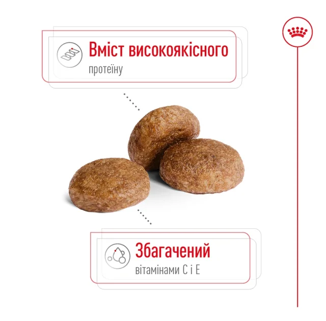 Сухой корм Royal Canin Medium Adult 7+ для собак средних пород старше 7 лет, 4 кг