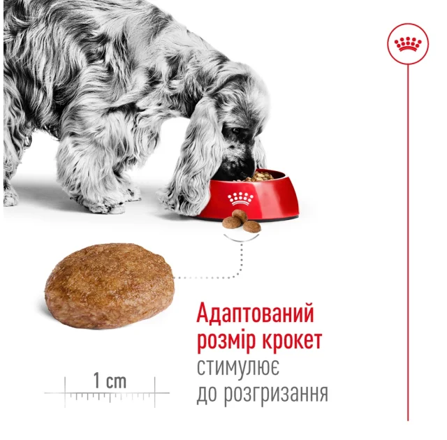 Сухой корм Royal Canin Medium Adult 7+ для собак средних пород старше 7 лет, 4 кг