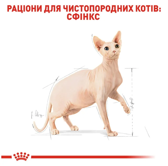 Сухий корм Royal Canin Sphynx Adult для сфінкса, 10 кг