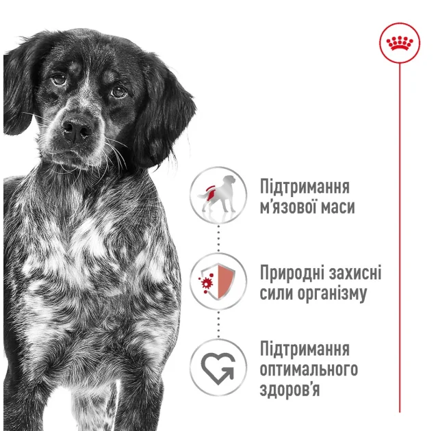 Сухий корм Royal Canin Medium Adult для дорослих собак середніх порід, 3.2 кг + 800 г