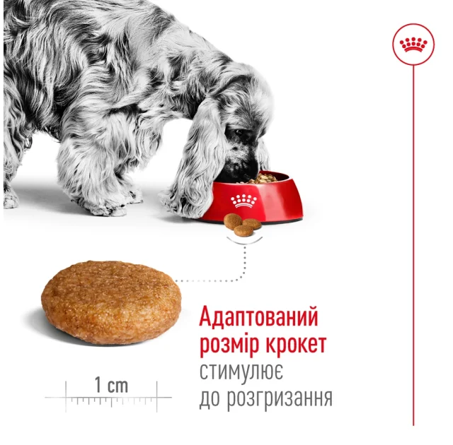 Сухий корм Royal Canin Medium Adult для дорослих собак середніх порід, 3.2 кг + 800 г
