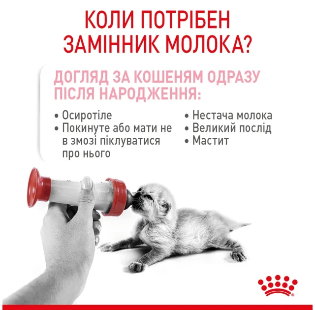 Заменитель молока Royal Canin Babycat Milk для котят, 300 г