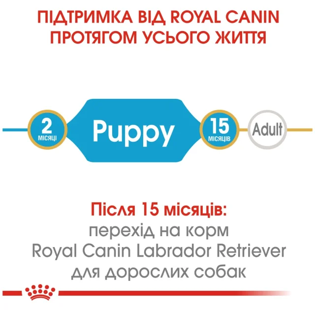 Сухий корм Royal Canin Labrador Retriever Puppy для цуценят лабрадора до 15 місяців, 12 кг