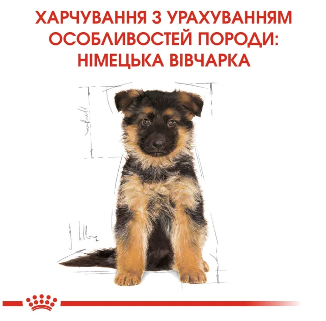 Сухий корм Royal Canin German Shepherd Puppy для цуценят німецької вівчарки до 15 місяців, 12 кг