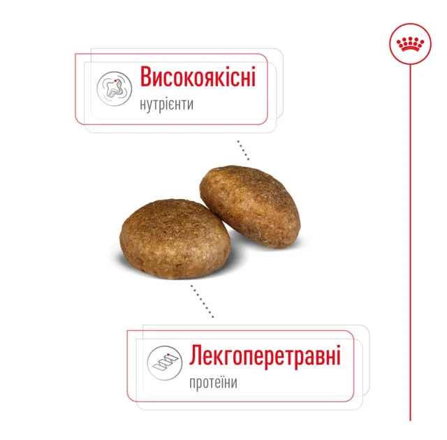 Сухий корм Royal Canin Maxi Ageing 8+ для собак великих порід старше 8 років, 15 кг