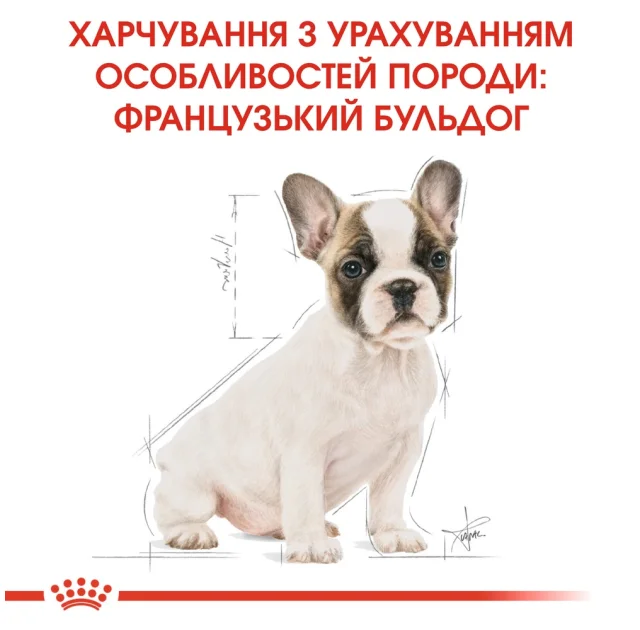 Сухий корм Royal Canin French Bulldog Puppy для цуценя французького бульдога до 12 місяців, 1 кг