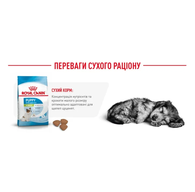 Сухий корм Royal Canin X-Small Puppy для цуценят мініатюрних порід до 10 місяців, 500 г