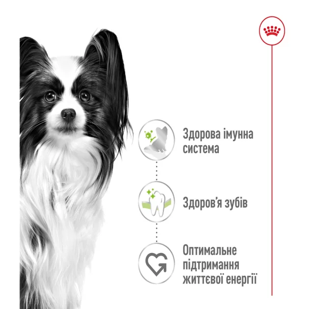 Сухий корм Royal Canin X-Small Adult для собак мініатюрних порід, 1.5 кг