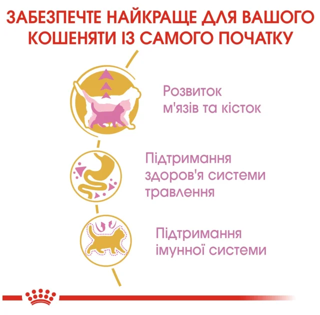 Сухий корм Royal Canin British Shorthair Kitten для британських кошенят, 10 кг