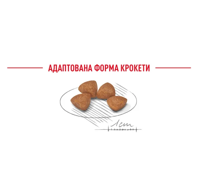 Сухий корм Royal Canin X-Small Puppy для цуценят мініатюрних порід до 10 місяців, 3 кг