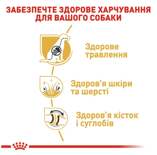 Сухий корм Royal Canin German Shepherd Adult для німецької вівчарки, 11 кг