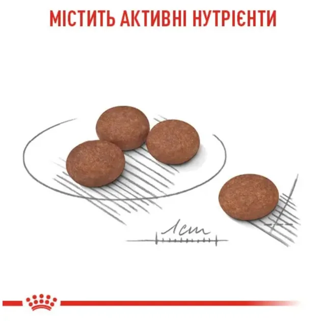 Сухий корм Royal Canin Mini Digestive Care при чутливому травленні у собак дрібних порід, 3 кг