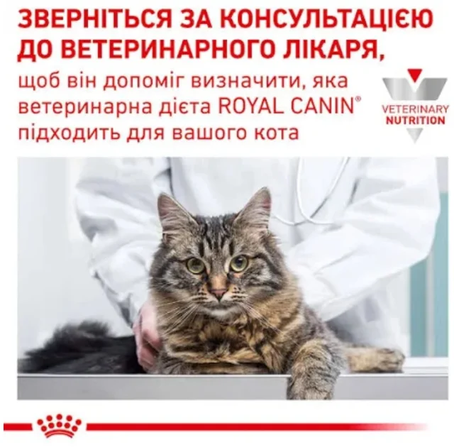 Вологий корм Royal Canin Skin & Coat при дерматозе і випаданні шерсті у котів, 85 г