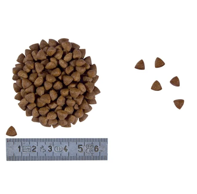 Сухий корм Royal Canin Gastro Intestinal Kitten при розладах травлення у кошенят, 400 г