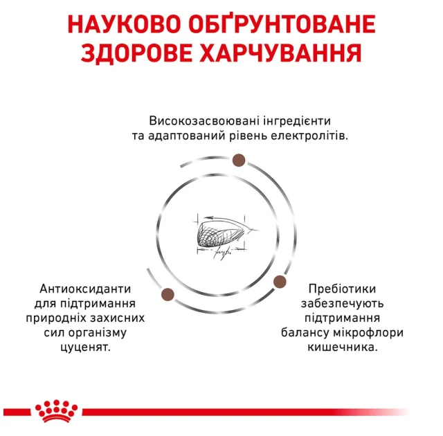 Вологий корм Royal Canin Gastro Intestinal Puppy при розладах травлення цуценят, 195 г