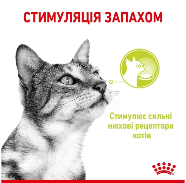 Вологий корм Royal Canin Sensory Smell Gravy для котів вибагливих до аромату, шматочки в соусі, 85 г