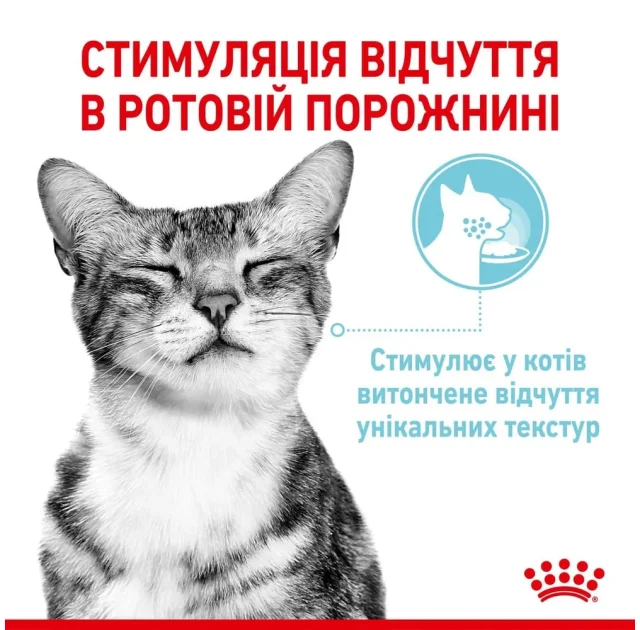 Вологий корм Royal Canin Sensory Feel Gravy для вибагливих котів, шматочки в соусі, 85 г
