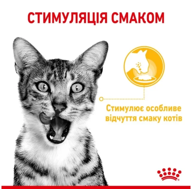 Влажный корм Royal Canin Sensory Taste Jelly для кошек привередливых ко вкусу, кусочки в желе, 85 г