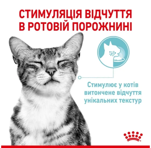 Вологий корм Royal Canin Sensory Feel Jelly для вибагливих котів, шматочки в желе, 85 г