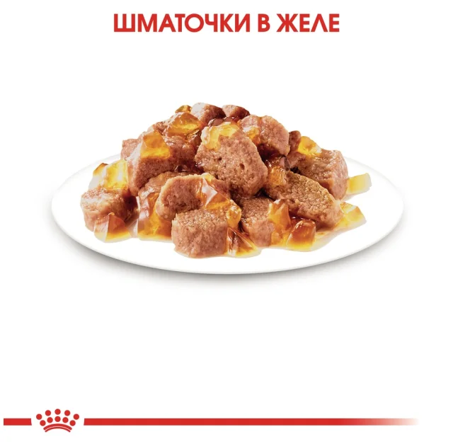 Вологий корм Royal Canin Sterilised Jelly для стерилізованих котів старше 12 місяців, шматочки в желе, 85 г