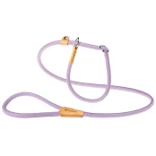 Поводок с ошейником из эко-кожи Ferplast Derby GC12/170 Purple для собак, 12 мм, 170 см