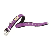 Нейлоновий нашийник Ferplast Dual CF15 / 35 Colours Purple для собак, 15 мм, A: 27 ÷ 35 см